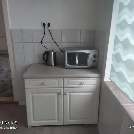 Mit Garten In Zentrum Appartement Schwerin (Mecklenburg-Vorpommern)