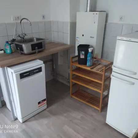 Apartment Mit Garten In Zentrum