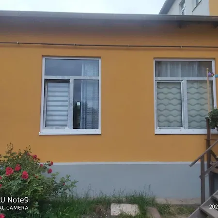 Apartment Mit Garten In Zentrum *