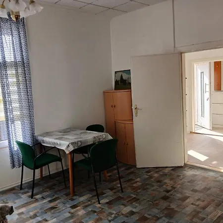 Apartment Mit Garten In Zentrum Schwerin (Mecklenburg-Vorpommern)