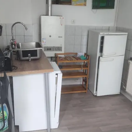 Apartment Mit Garten In Zentrum